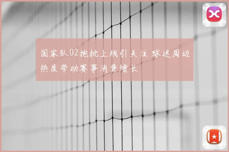 国家队02抱枕上线引关注 球迷周边热度带动赛事消费增长