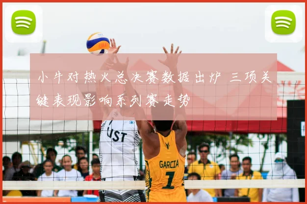 小牛对热火总决赛数据出炉 三项关键表现影响系列赛走势