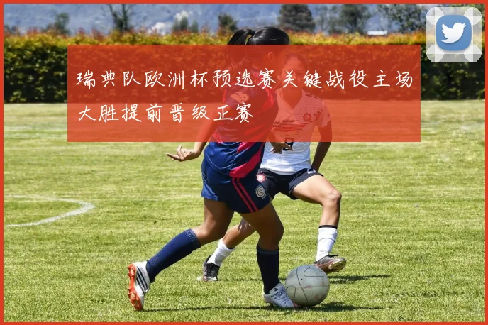 瑞典队欧洲杯预选赛关键战役主场大胜提前晋级正赛