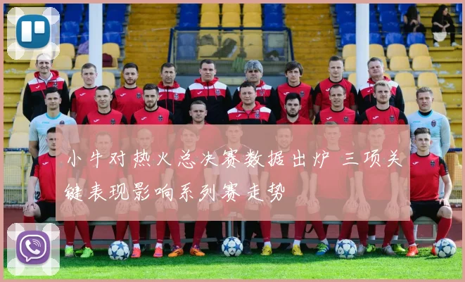 小牛对热火总决赛数据出炉 三项关键表现影响系列赛走势