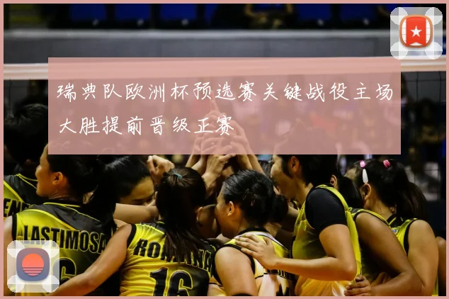 瑞典队欧洲杯预选赛关键战役主场大胜提前晋级正赛